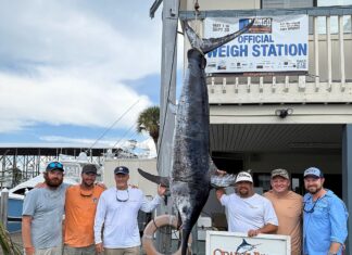 Trade Desk’s unexpected catch results in state record swordfish