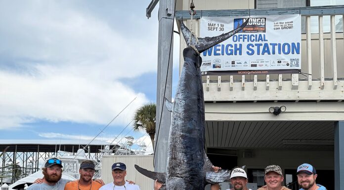 Trade Desk’s unexpected catch results in state record swordfish