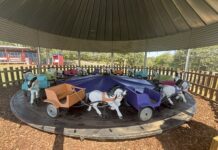 4D Farm hosting rodeo event this weekend