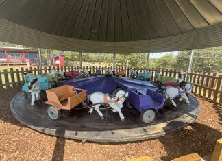 4D Farm hosting rodeo event this weekend