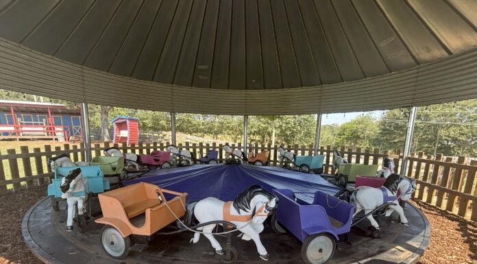 4D Farm hosting rodeo event this weekend