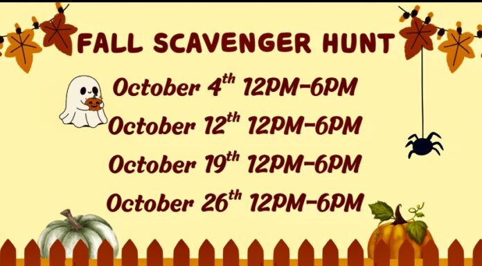 The 40 Acre Wood hosting fall scavenger hunts in October