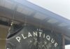 Attention plant lovers! The Plantique now open