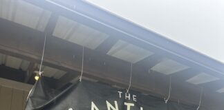 Attention plant lovers! The Plantique now open