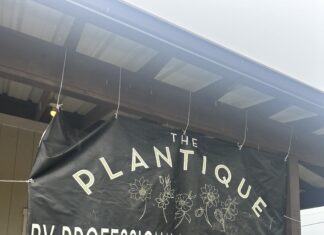 Attention plant lovers! The Plantique now open