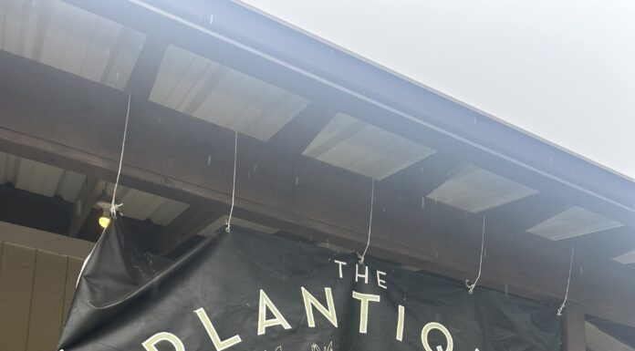 Attention plant lovers! The Plantique now open