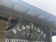 Attention plant lovers! The Plantique now open