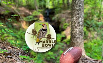 ACES: Marble Bowl rivalry expands in 4th annual competition