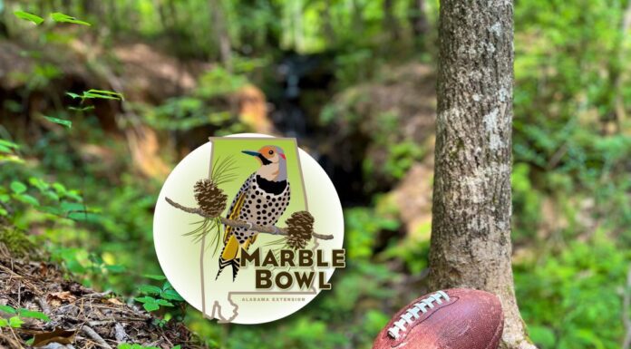 ACES: Marble Bowl rivalry expands in 4th annual competition