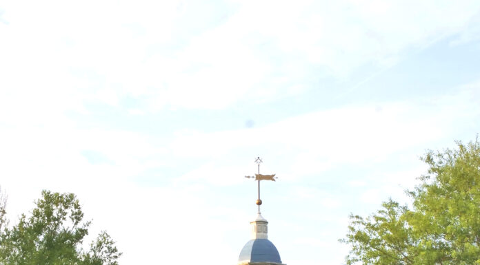 ‘Operation We Remember’ honors veterans lost to suicide