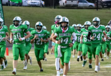 PREP FOOTBALL: Holly Pond handles Brindlee Mountain 60-12