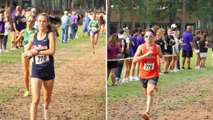 Untitled_design_-8-_Release