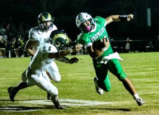 PREP FOOTBALL: Holly Pond scores late to top Sylvania 24-21
