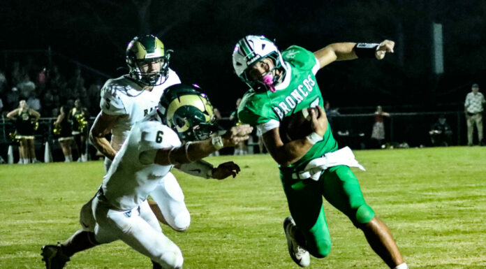 PREP FOOTBALL: Holly Pond scores late to top Sylvania 24-21