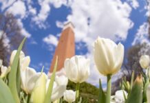 4 local UA Early College students named to Summer 2025 Director’s List