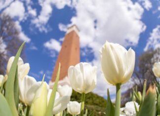 4 local UA Early College students named to Summer 2025 Director’s List