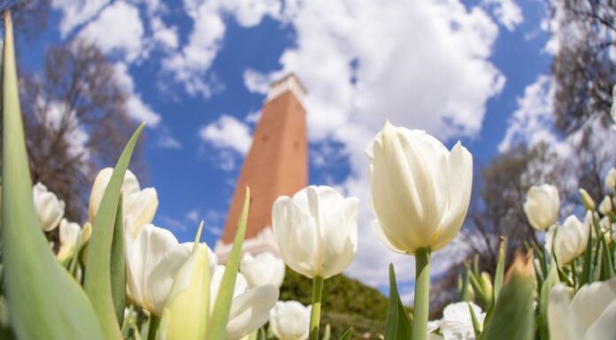 4 local UA Early College students named to Summer 2025 Director’s List