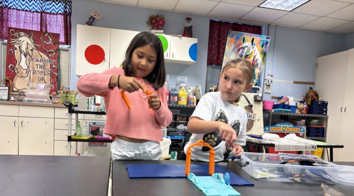 Sparking curiosity: STEM Day returns to CCPS