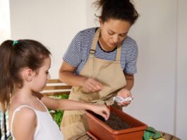 Planting seeds can provide fall crops and life lessons