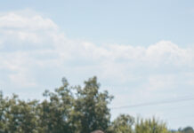 Wallace State soccer falls to Union University 4-0