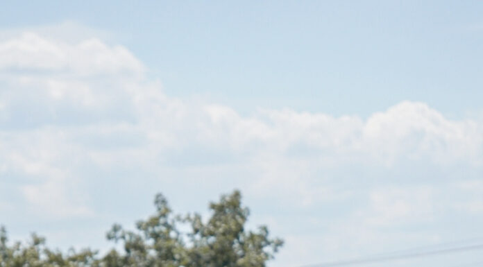 Wallace State soccer falls to Union University 4-0