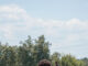 Wallace State soccer falls to Union University 4-0