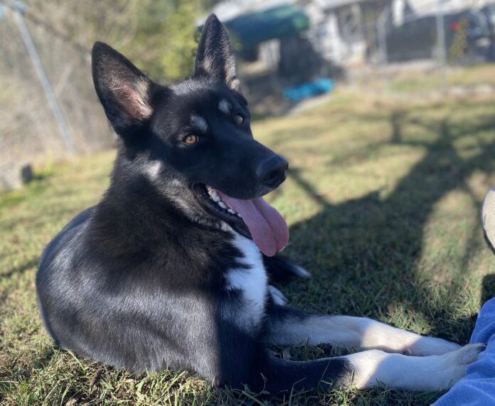 17DA2574-E3DA-4A1B-B7BD-5108C7D040B7