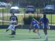 WSCC FLAG FOOTBALL: Lions stay perfect with doubleheader thumping of Calhoun
