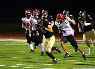 PREP FOOTBALL: Cullman celebrates senior night with 37-13 win over Decatur