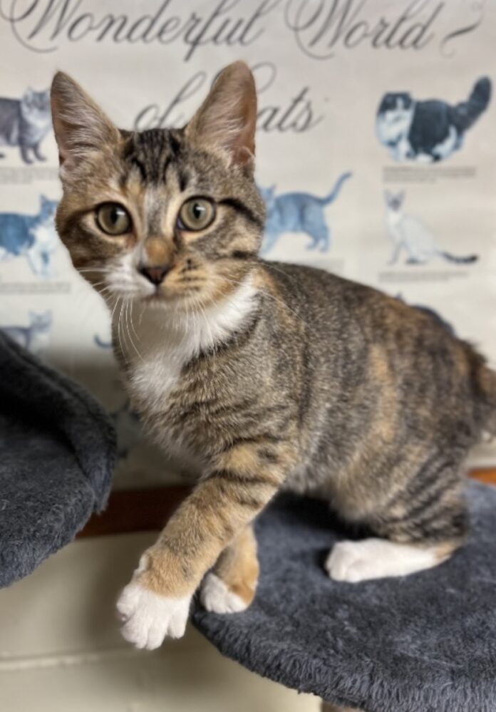 A4187D77-C404-4747-BF11-DB1FD83B6CB4