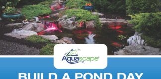 ProWorx to host hands-on ‘Build a Pond Day’ Oct. 30