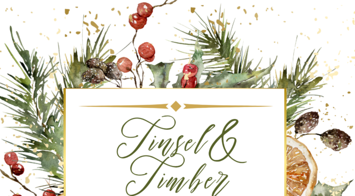 Tinsel & Timber Auction to kick off Christmas season in support of First Source for Women – Nov. 20
