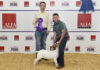 Local youth fare well at fall goat show