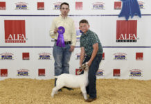 Local youth fare well at fall goat show