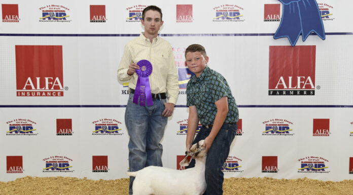 Local youth fare well at fall goat show