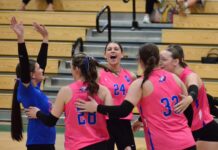 PREP VOLLEYBALL: Vinemont downs Holly Pond 3-1 to claim area title