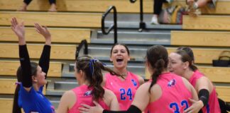 PREP VOLLEYBALL: Vinemont downs Holly Pond 3-1 to claim area title