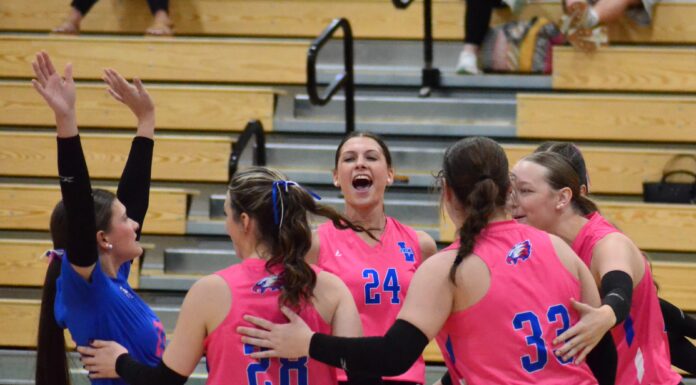 PREP VOLLEYBALL: Vinemont downs Holly Pond 3-1 to claim area title