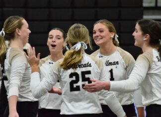 PREP VOLLEYBALL: Cullman falls to Brewer in 5 sets