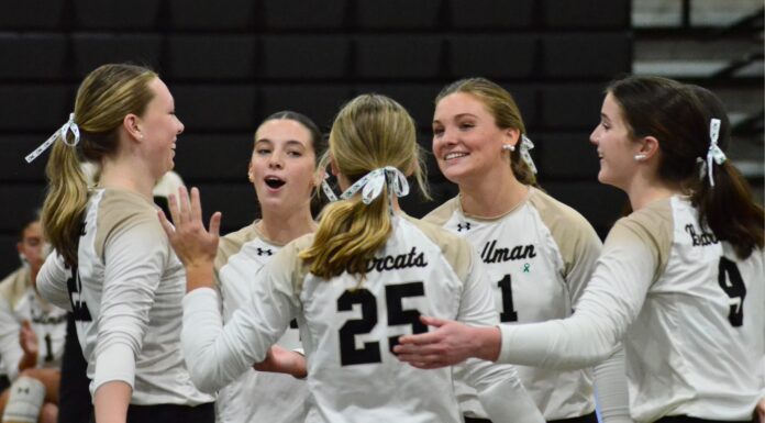 PREP VOLLEYBALL: Cullman falls to Brewer in 5 sets