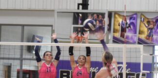 PREP VOLLEYBALL: Hanceville drops area match against J.B. Pennington