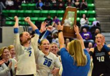 STATE VOLLEYBALL: ‘We all did it for each other’: Addison downs Meek to capture 15th state championship