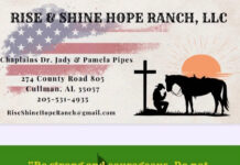 Get to know Rise & Shine Hope Ranch