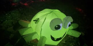 Nearly 2K trick-or-treaters attend Smith Lake Park event