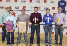Local youth fare well at fall sheep show