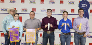 Local youth fare well at fall sheep show