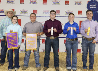 Local youth fare well at fall sheep show