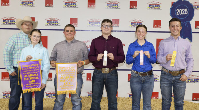 Local youth fare well at fall sheep show