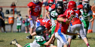 Cullman County Youth Football week 8 scoring recap