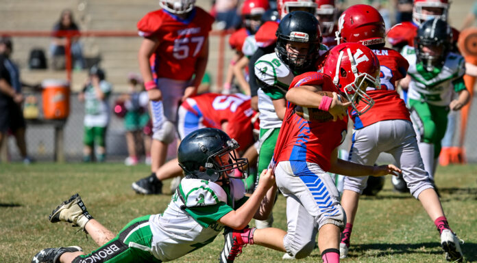 Cullman County Youth Football week 8 scoring recap